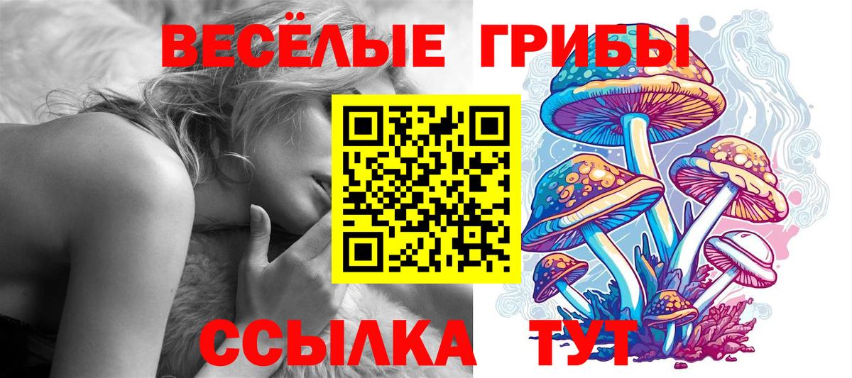 магазин продажи   Галлюциногенные грибы Magic Shrooms  Псилоцибиновые грибы Cubensis  Вход с VPN  Чусовой 